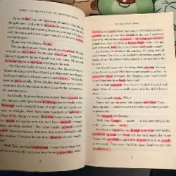 Книга Гарри Поттер и Философский Камень - фото 2