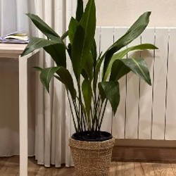 Кашпо Jysk - фото 1