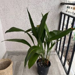 Кашпо Jysk - фото 2