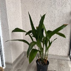 Кашпо Jysk - фото 3