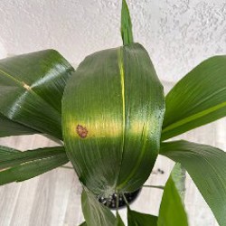 Кашпо Jysk - фото 4