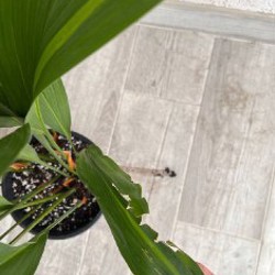 Кашпо Jysk - фото 5