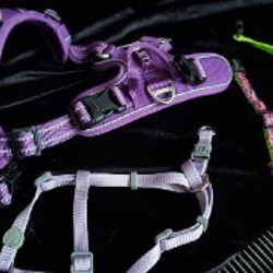 Набор для кошек и маленьких собак - фото 3