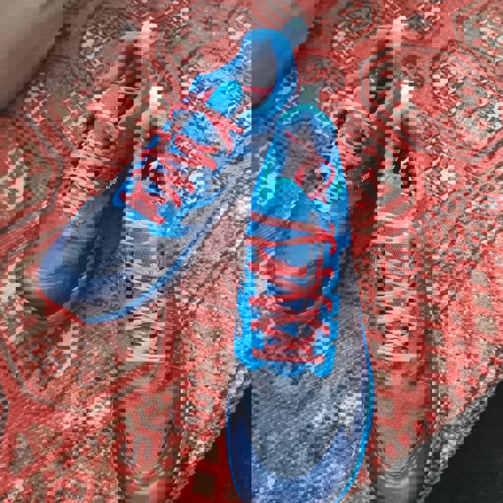 Кроссовки The North Face Vectiv Infinite