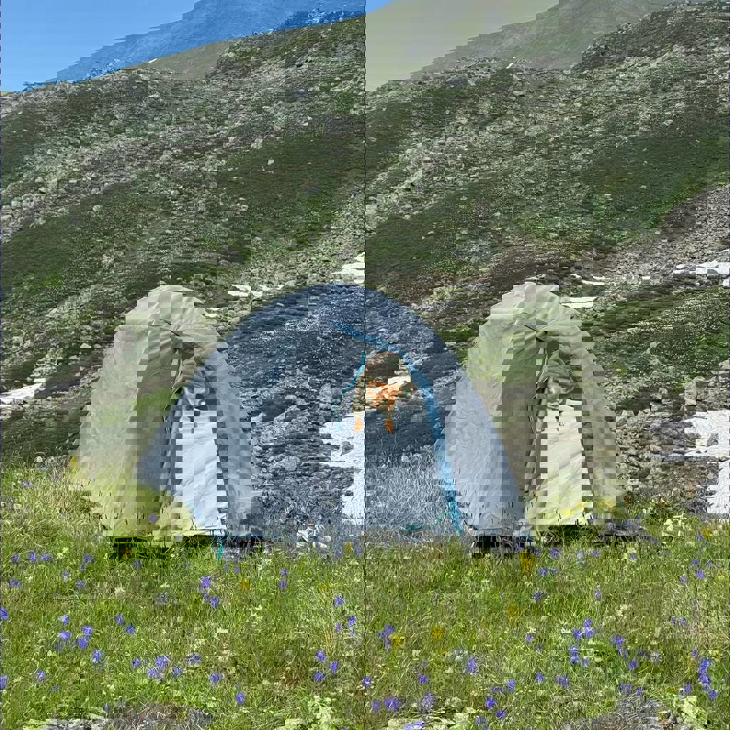 Походная палатка Зеленая