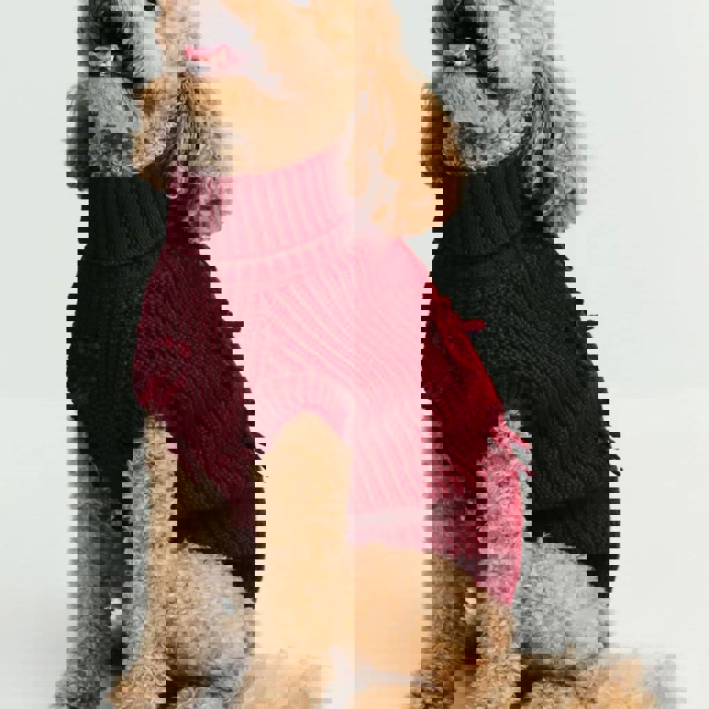 Свитер для собаки (или кошки)