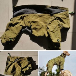 Жилет для собаки - фото 1