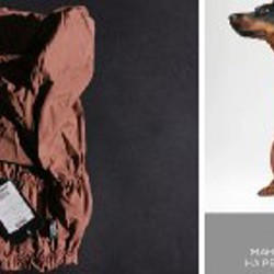 Жилет для собаки - фото 5