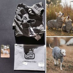 Жилет для собаки - фото 6