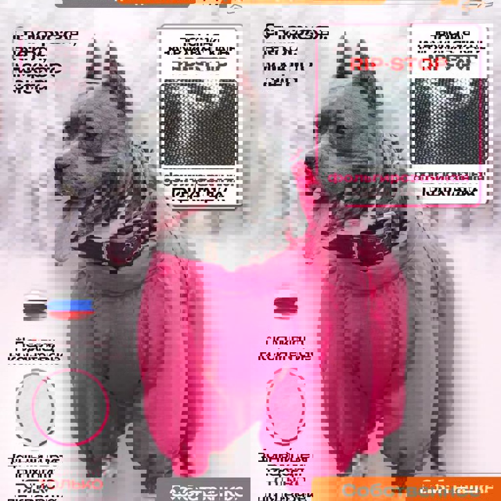 Комбинезон для питбулей