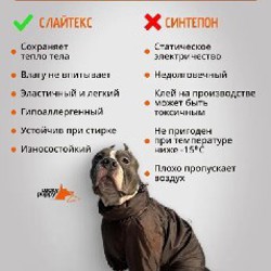 Комбинезон для питбулей - фото 3