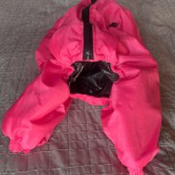 Комбинезон для питбулей - фото 8