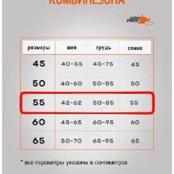 Комбинезон для питбулей - фото 9