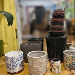 Беговая дорожка - фото 2