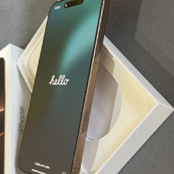 IPhone 16 Pro Max - фото 3