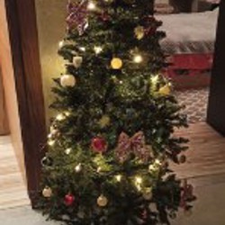 Ёлка новогодняя - фото 2