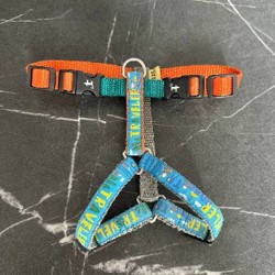 Ошейник Шарик DRAMA KING - фото 3