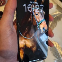 IPhone 14 Pro Max - фото 4