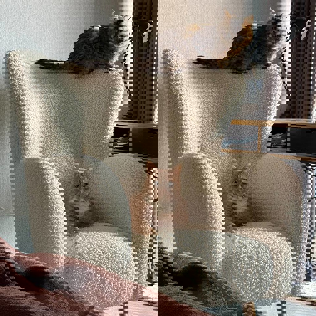 Кресло Jysk Armchair VILDSUND