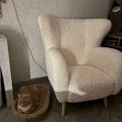 Кресло Jysk Armchair VILDSUND - фото 5