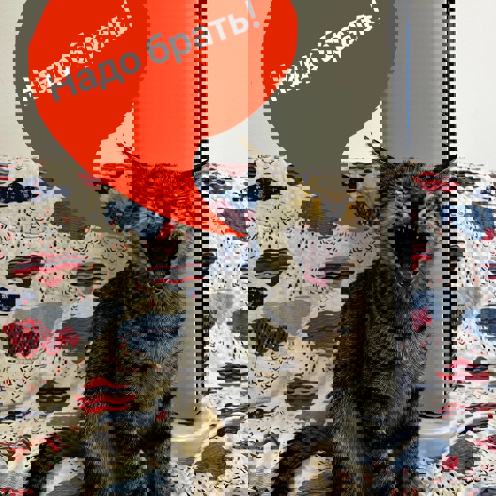 Обогреватель Zilan