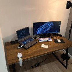 Пальма - фото 1