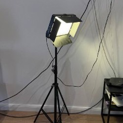 Пальма - фото 2