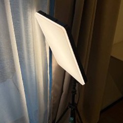 Пальма - фото 4