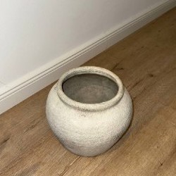 Пальма - фото 6