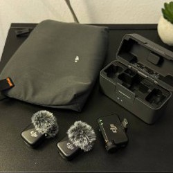 Пальма - фото 8