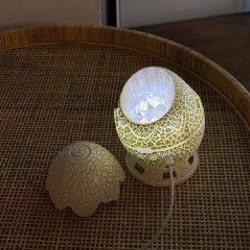 Молодой цветок в белом горшке - фото 6