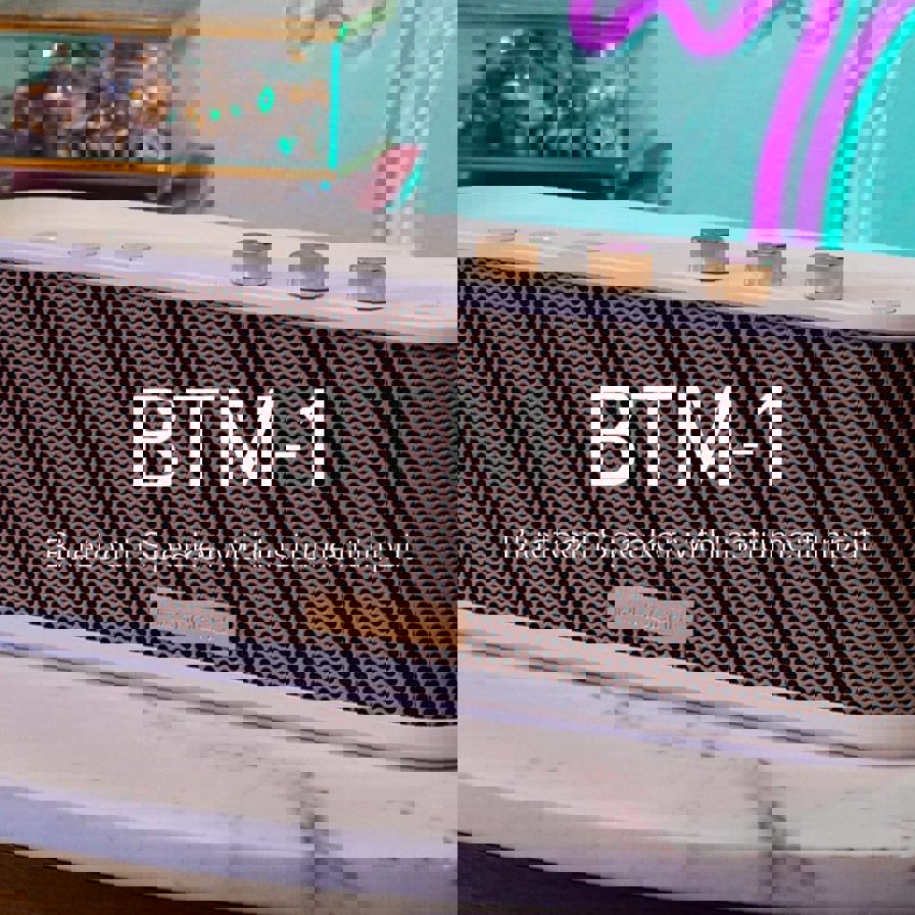 Bluetooth динамик Roland BTM-1