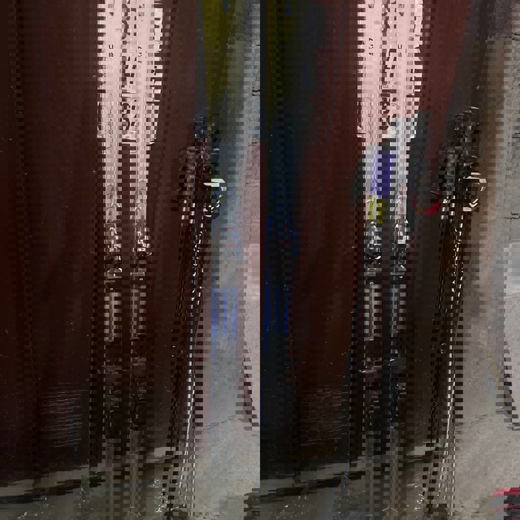 Палки Elan Carbon 5.0