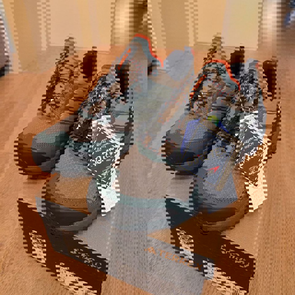 Кроссовки Adidas Terrex Skychaser Gore-Tex