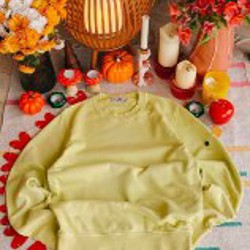 Свитшот Stone Island - фото 2