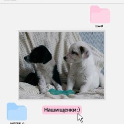 Щенок белой девочки - фото 1