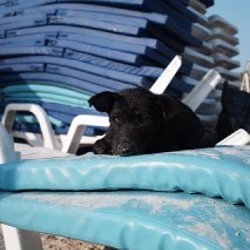 Fujifilm XF10 - фото 7