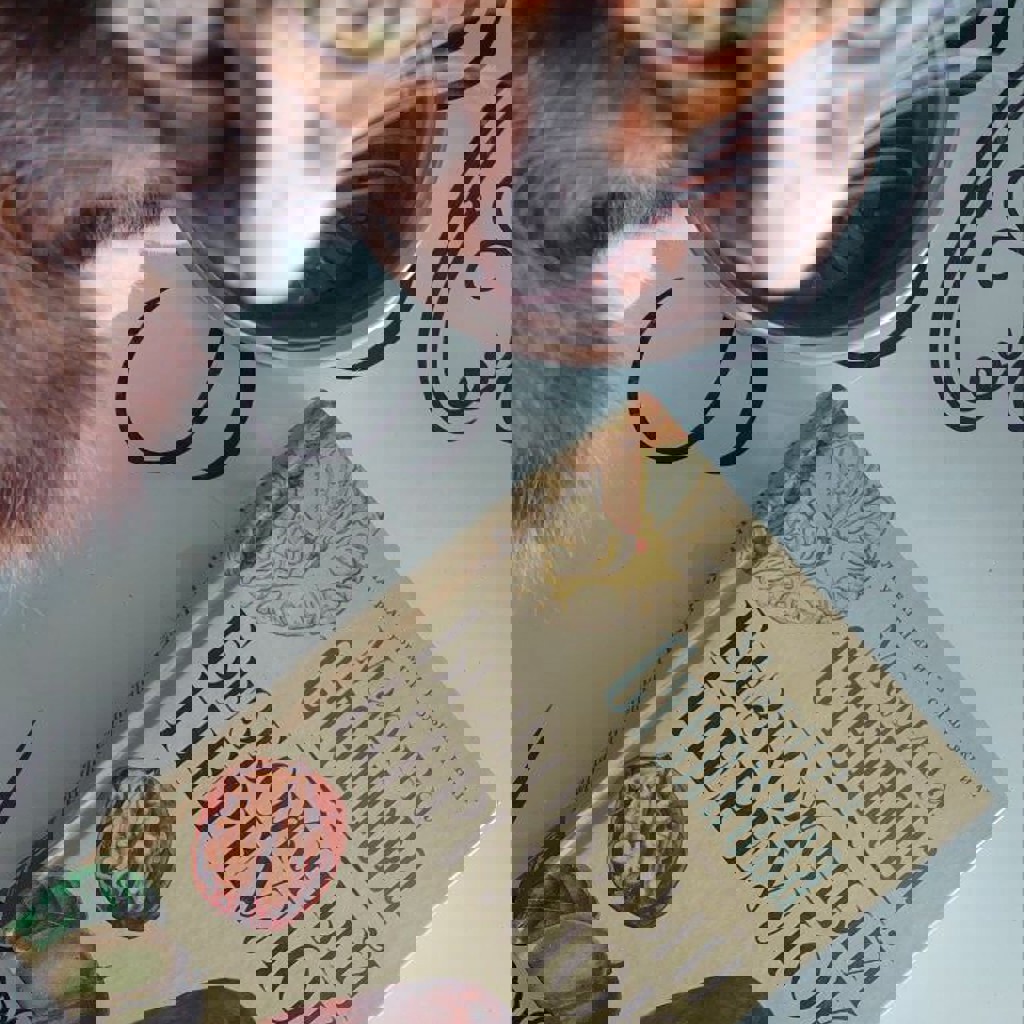 Я исповедуюсь