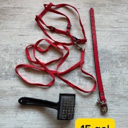 Корм Monge Gastrointestinal - фото 5