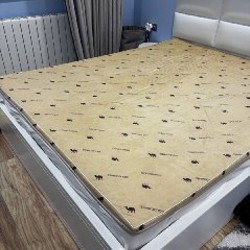 Елка и новогодние игрушки - фото 6