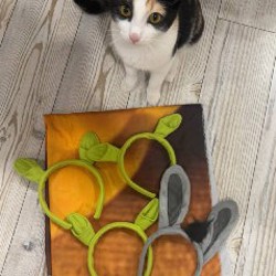 Набор для Шрек вечеринки - фото 2