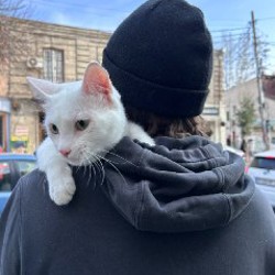 Хори - фото 5