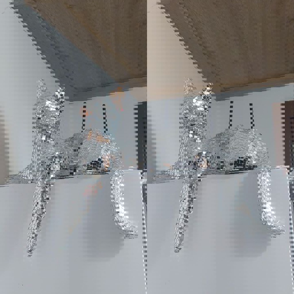 Зеркальный котик