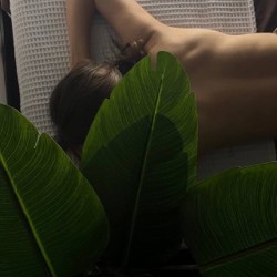 Искусственное растение - фото 5