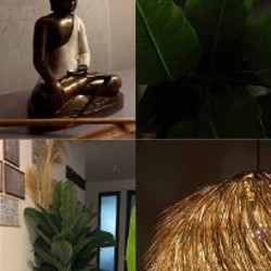 Искусственное растение - фото 6