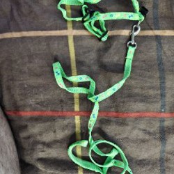 Шлейки с дополнительной поддержкой - фото 6