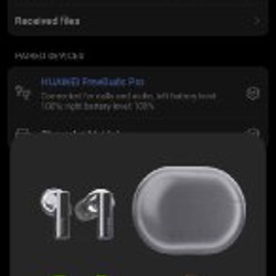 Беспроводные наушники Huawei Freebuds Pro - фото 5