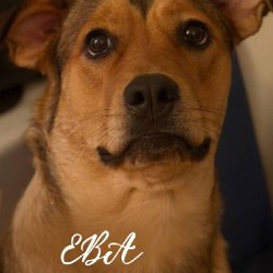 Мила - фото 2