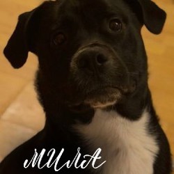 Мила - фото 1