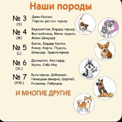 Намордник для собаки - фото 3